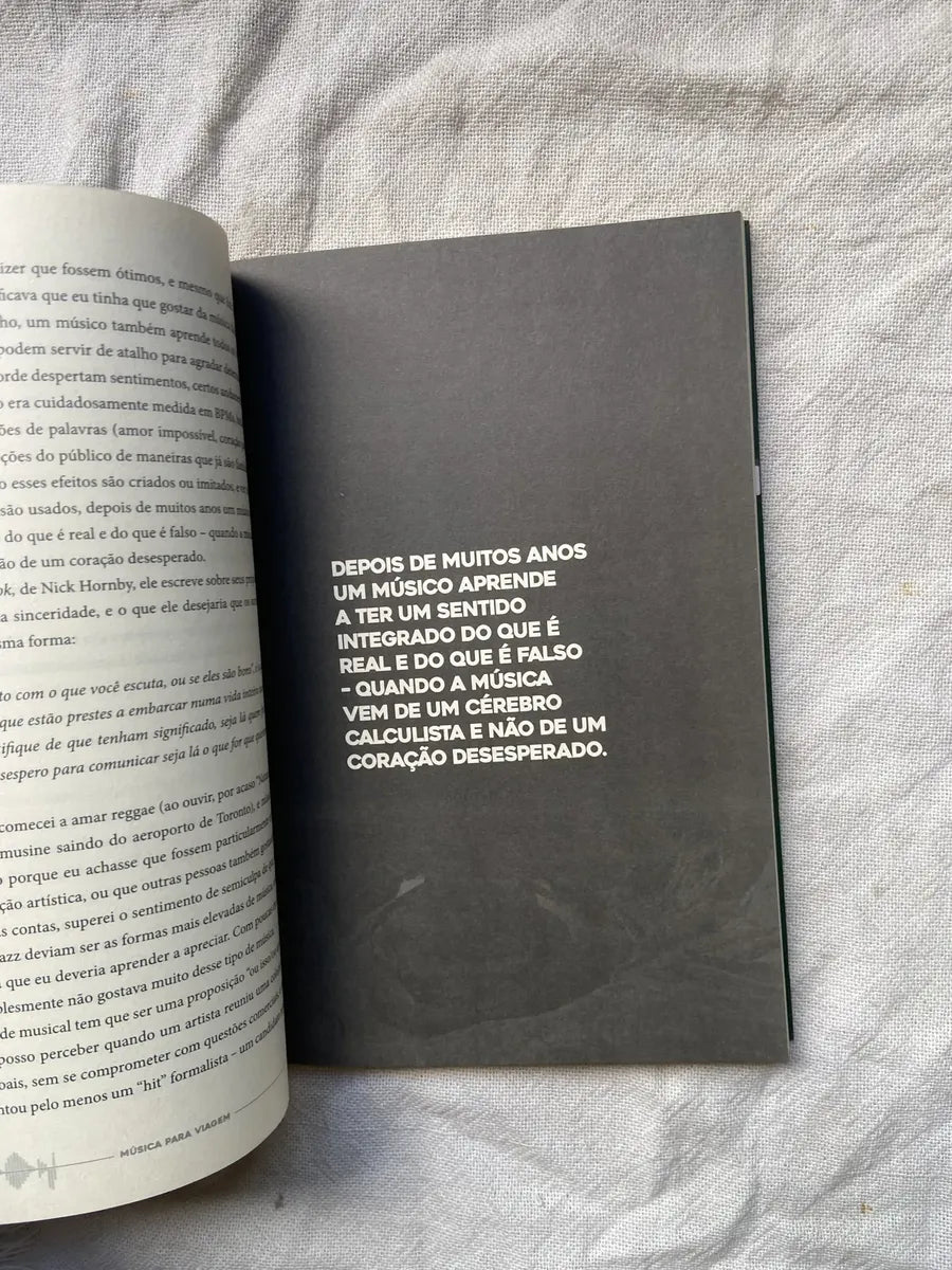 Livro Niel Peart Música Para Viagem Vol 2 (Usado)