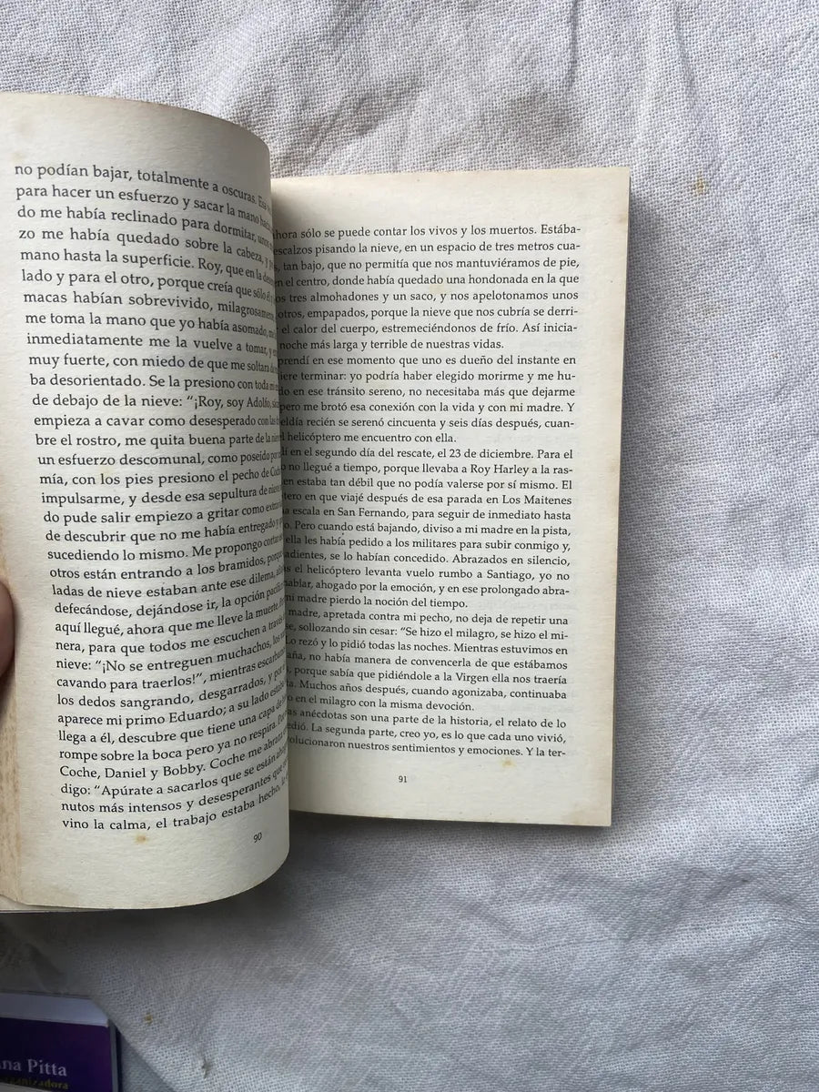 Livro La Sociedad De La Nieve Pablo Vierci 2008 (Usado)