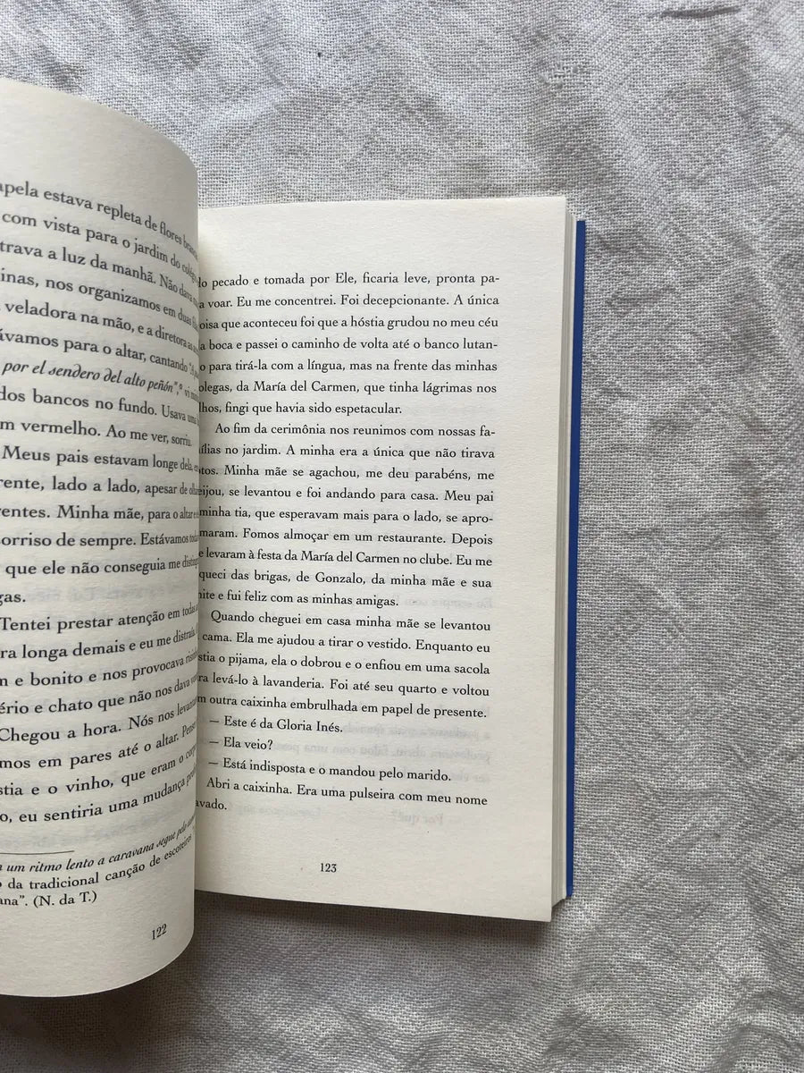 Livro Os Abismos Pilar Quintana 1 Edição 2022 (Usado)