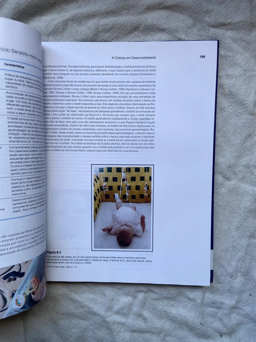 Livro A Criança Em Desenvolvimento Helen Bee 9 Edição 2003 (Usado)