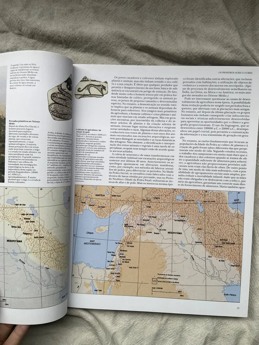 Livro Mesopotâmia Coleção Grandes Civilizações Do Passado (Usado)