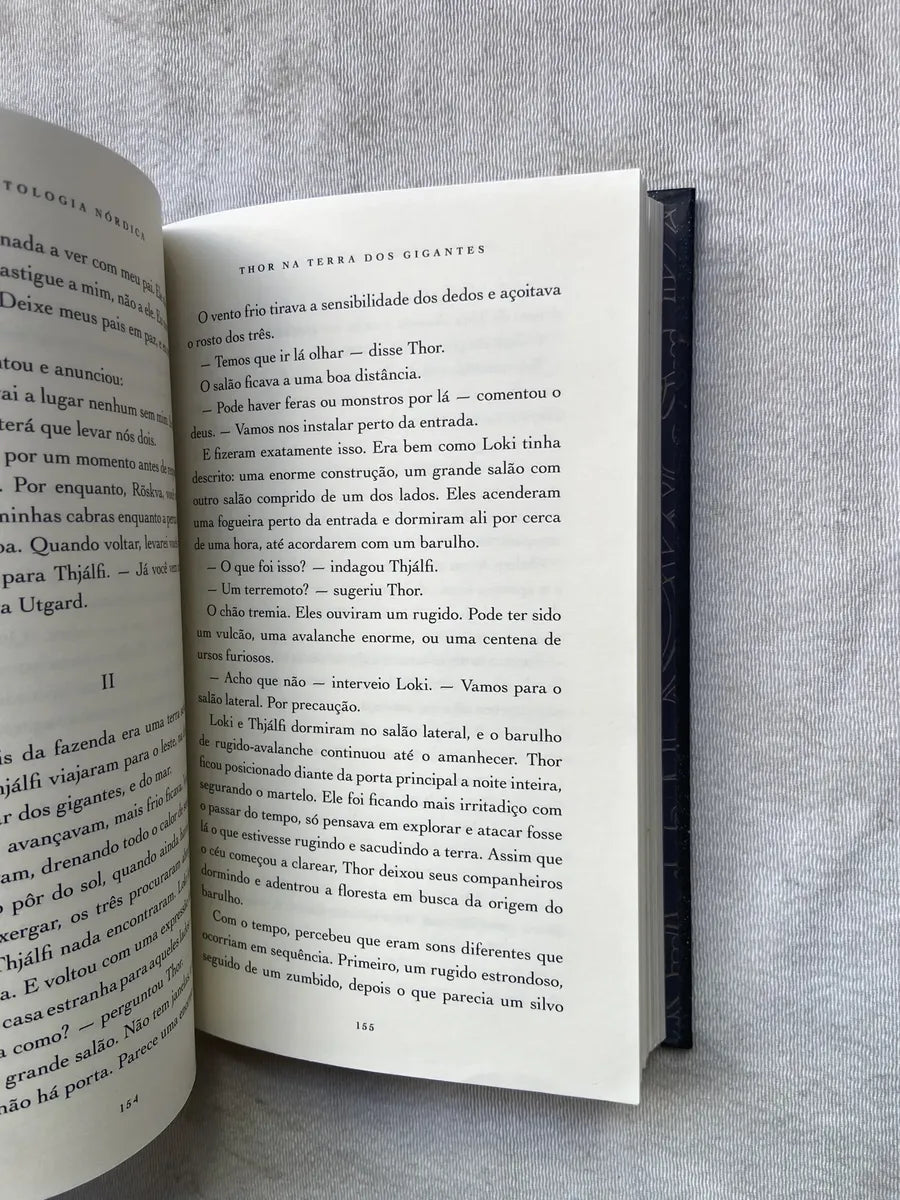 Livro Mitologia Nórdica Niel Gaiman 1° Edição 2017 (Usado)
