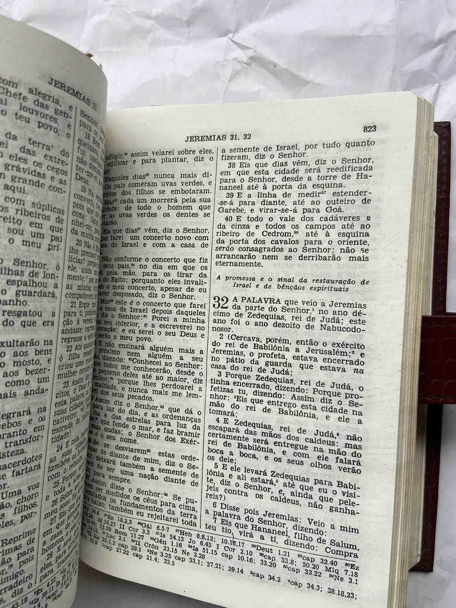Livro Bíblia Sagrada E Harpa Coedição De 1987 (Usado)