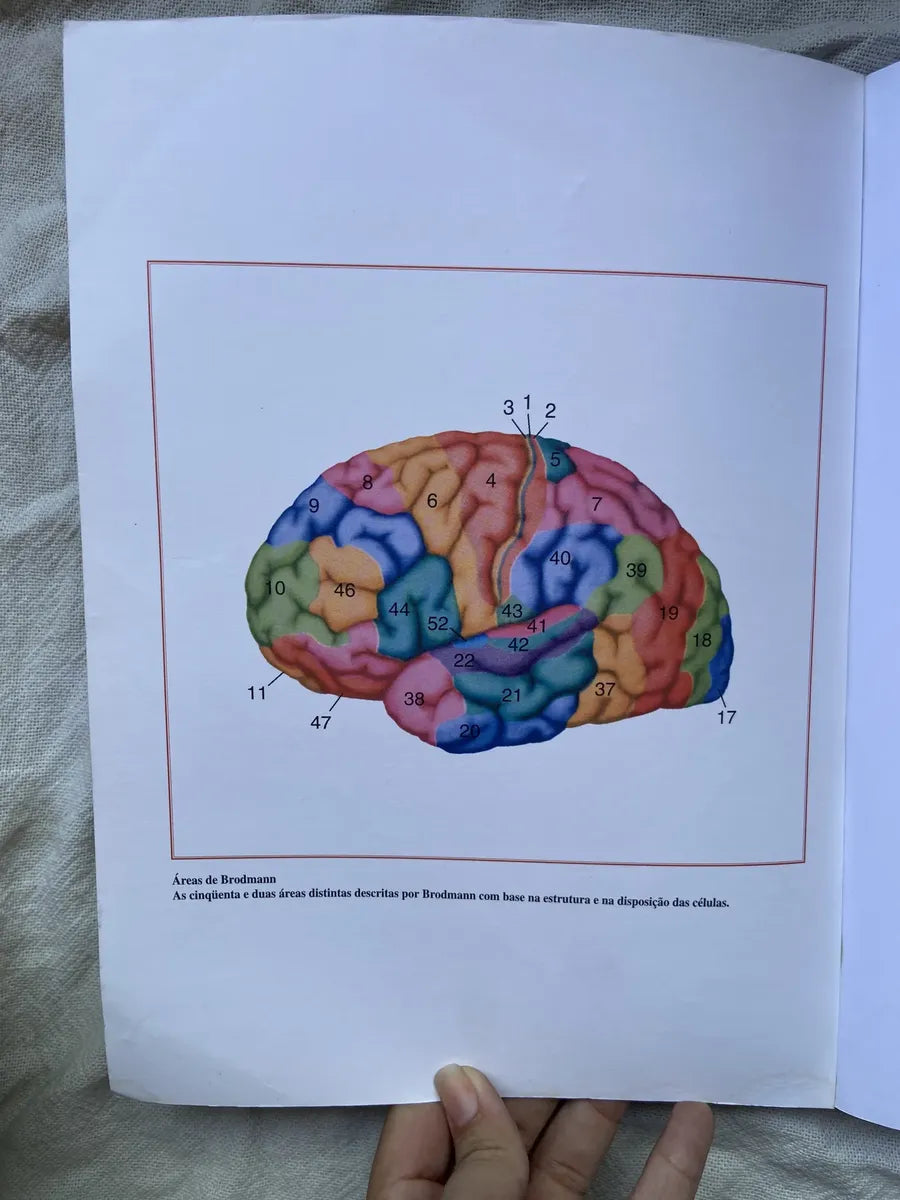 Livro Psicologia Cognitiva E Suas Implicações Experimentais (Usado)