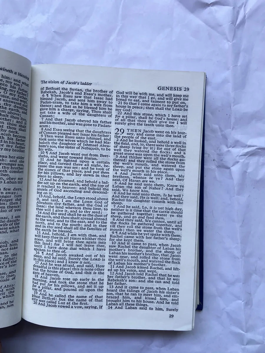 Livro The Bible Authorized Version (Usado)