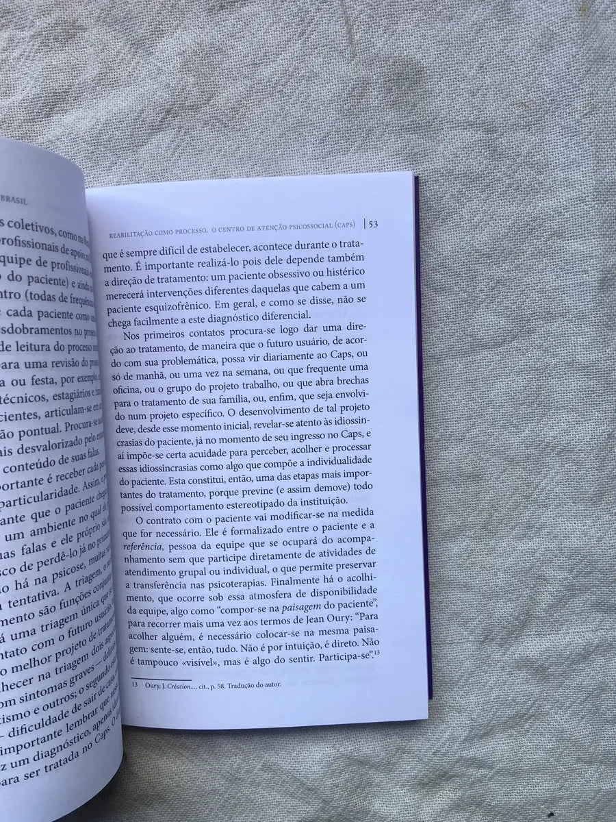 Livro Reabilitação Psicossocial No Brasil 4 Edição 2016 (Usado)
