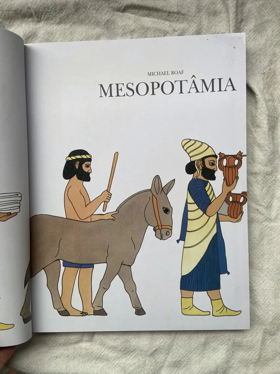 Livro Mesopotâmia Coleção Grandes Civilizações Do Passado (Usado)