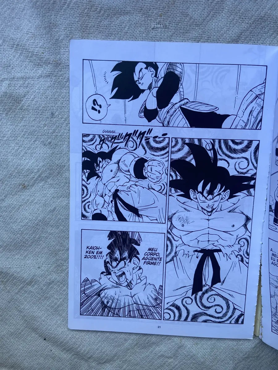 Manga Dragon Ball Z 6 Akira Toriyama 2001 (Usado)