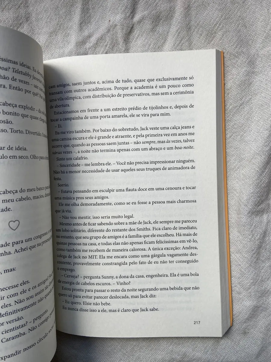 Livro Amor Teoricamente Ali Hazelwood 1 Edição 2023 (Usado)