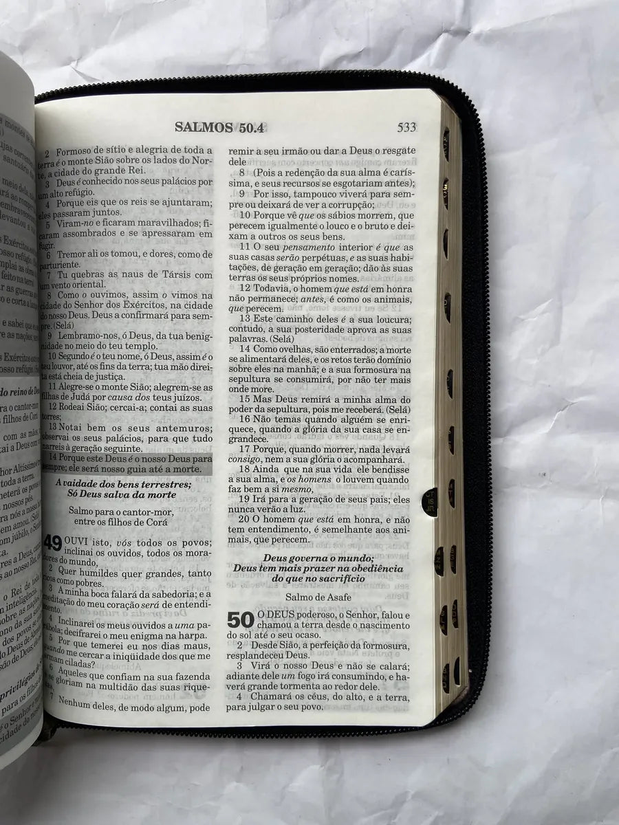 Livro Bíblia Sagrada E Harpa Palavras De Jesus Em Vermelho (Usado)