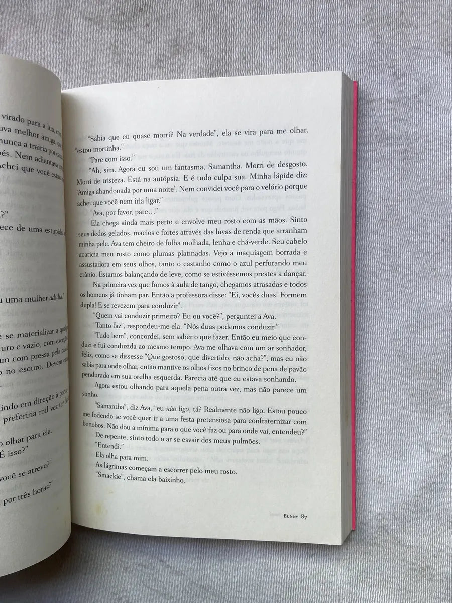 Livro Bunny Mona Awad 1° Edição 2024 (Usado)