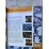 Livro Lista Telefonica Telelista 2004 Maceió E Região (Usado)