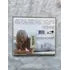 Cd Madonna Something To Remember 1985 (Usado)