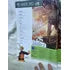 Revista Xbox Tomb Raider Ano 7 N78 2013 (Usado)