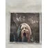 Cd Verthebral Regeneration Adultery Of Soul 2018 (Usado)