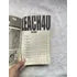Manga Bleach Tite Kubo Shock The Lust 40 2011 (Usado)