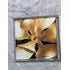 Cd Madonna Something To Remember 1985 (Usado)