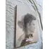 Livro Inova Moda Criação Utopias Inverno 2018 (Usado)