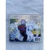 Cd Skank Radiola 2004 (Usado)