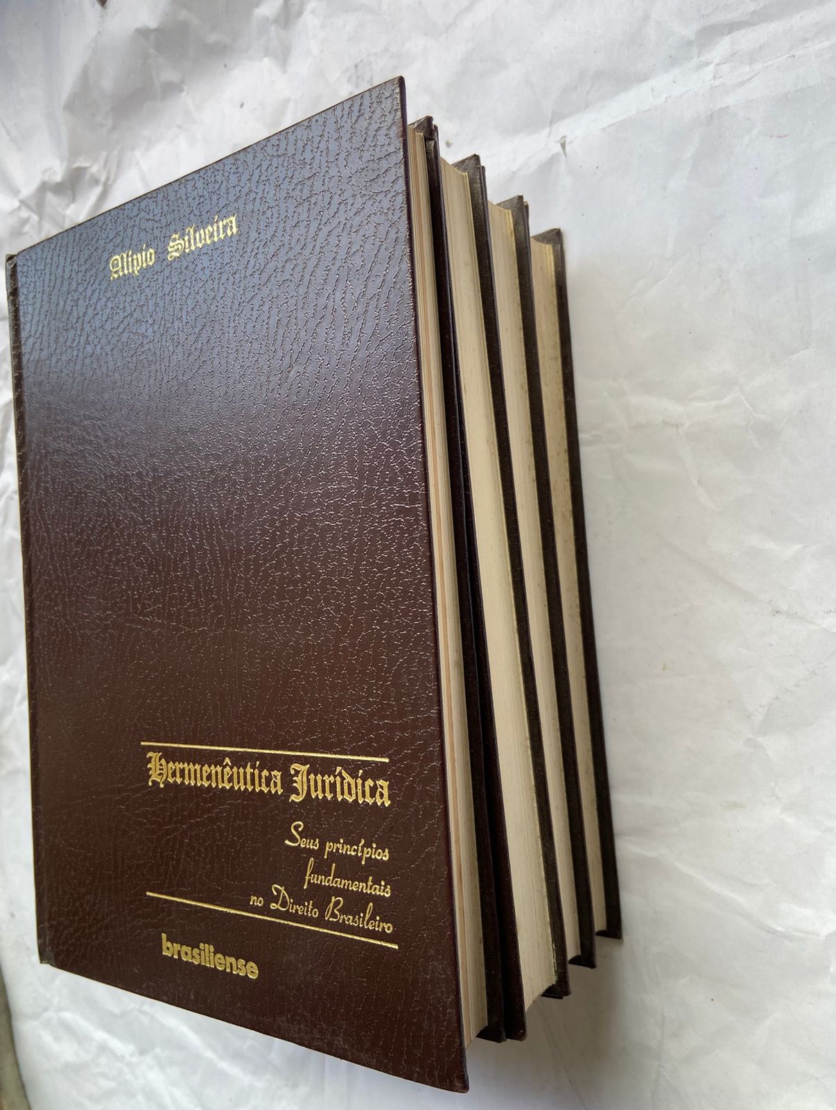 Livro Hermenêutica Jurídica Seus Princípios Fundamentais (Usado)