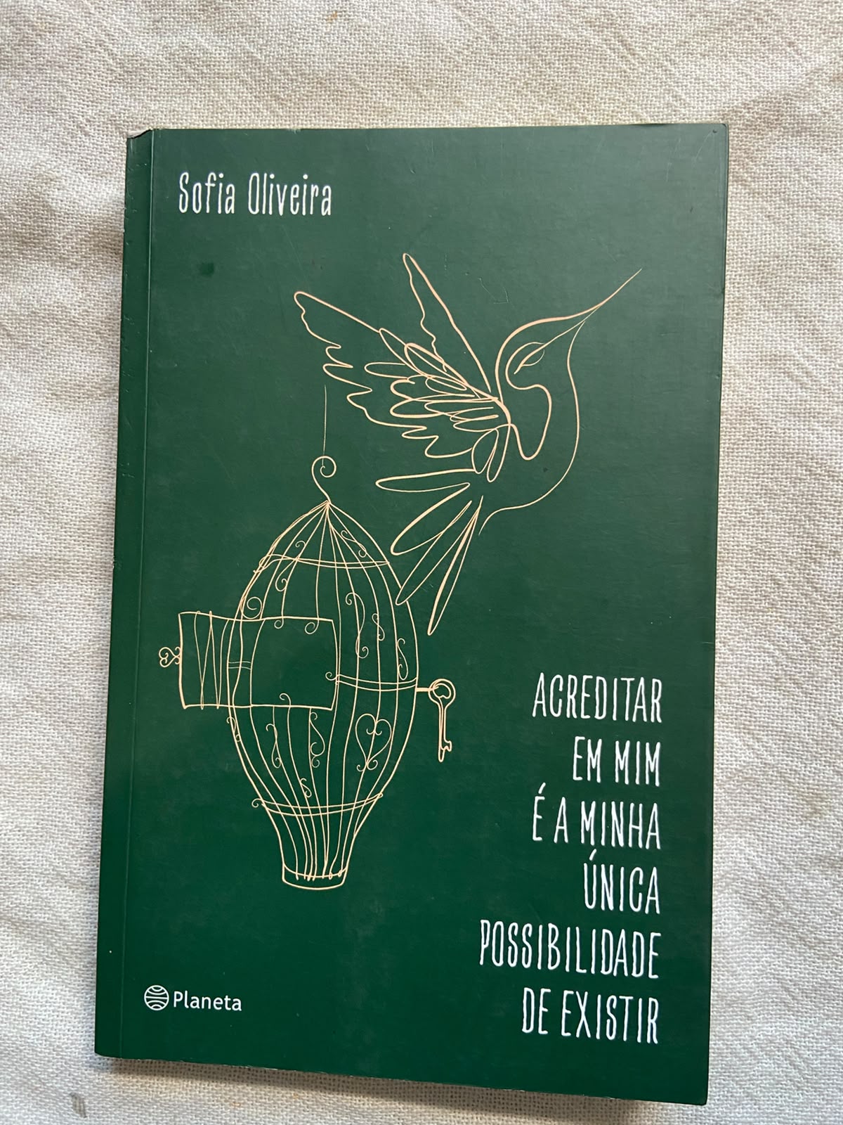 Acreditar Em Mim É a Única Possibilidade de Existir