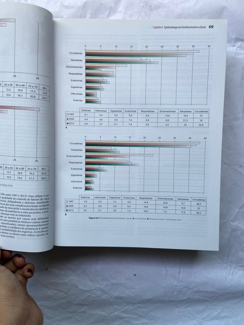 Livro Tratado De Geriatria E Gerontologia 4 Edição 2016 (Usado)