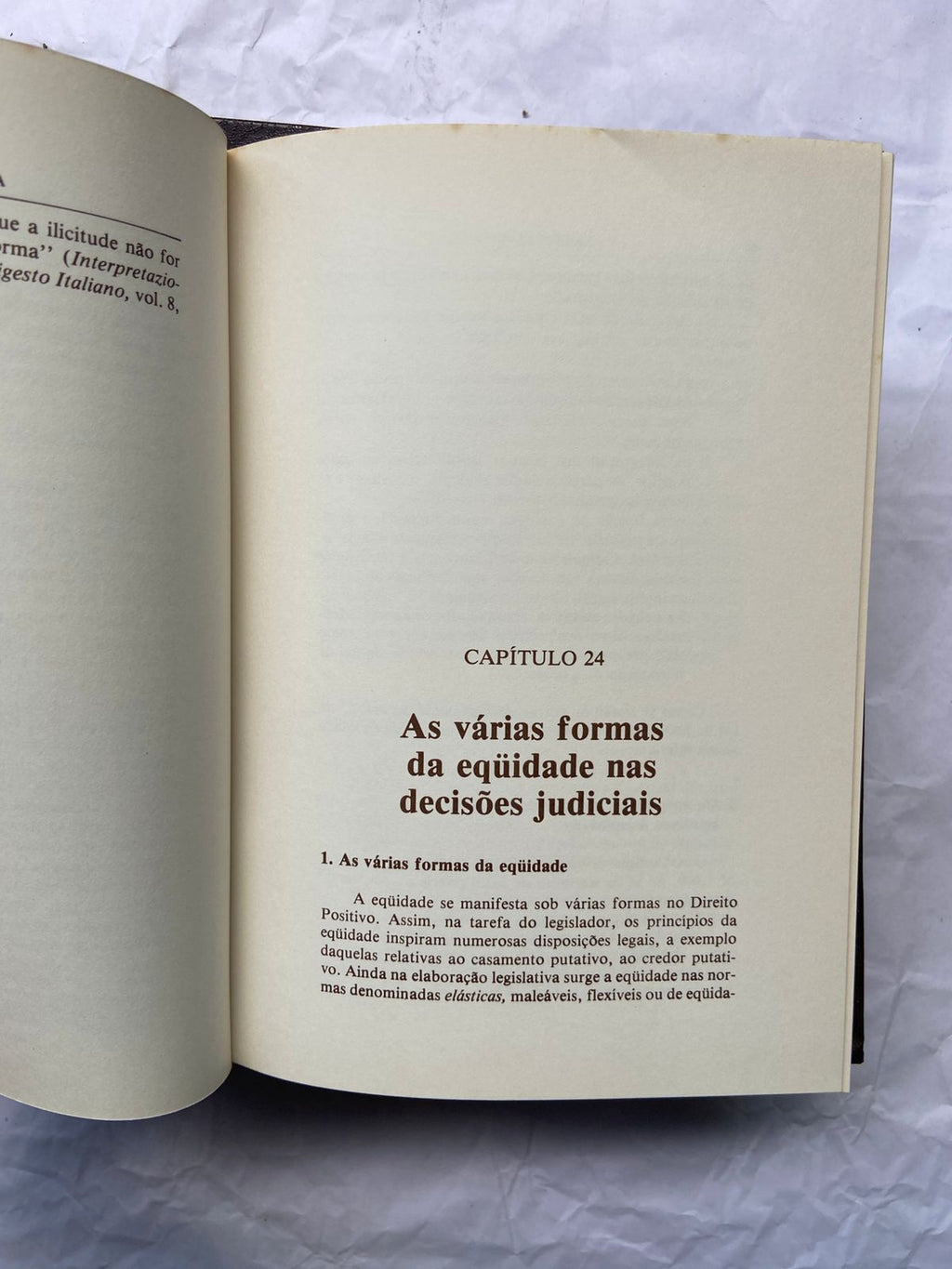 Livro Hermenêutica Jurídica Seus Princípios Fundamentais (Usado)