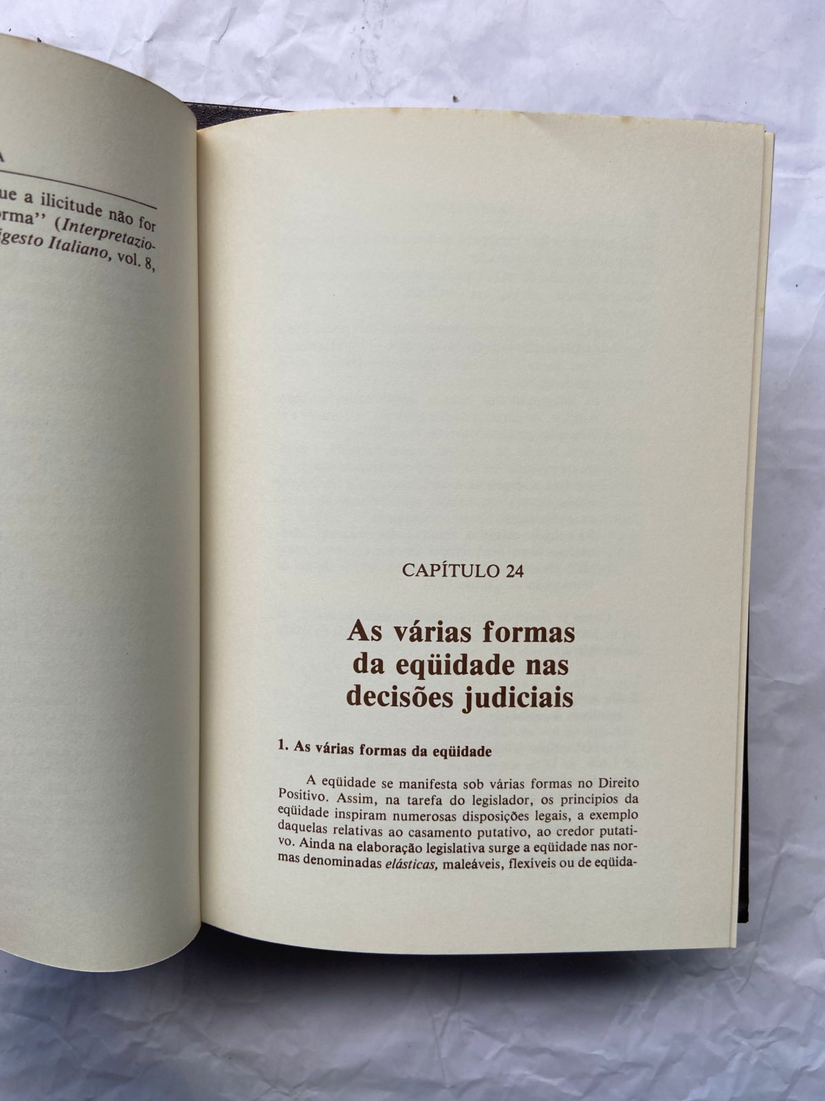 Livro Hermenêutica Jurídica Seus Princípios Fundamentais (Usado)