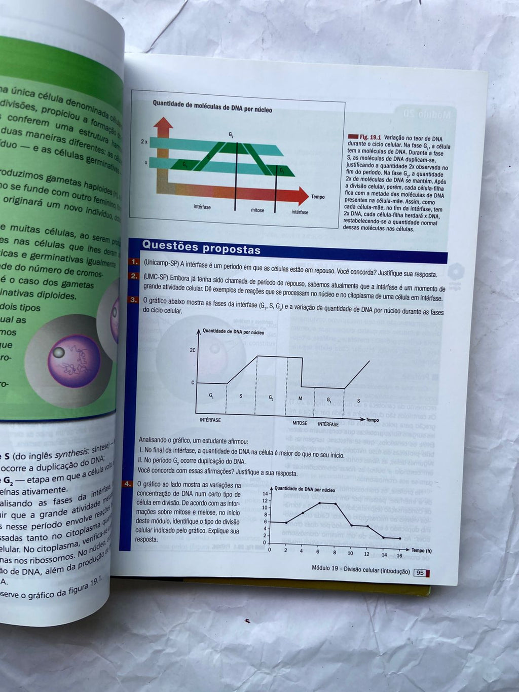 Livro Biologia Box 4 Vol Com Caderno De Revisão E Exercícios (Usado)