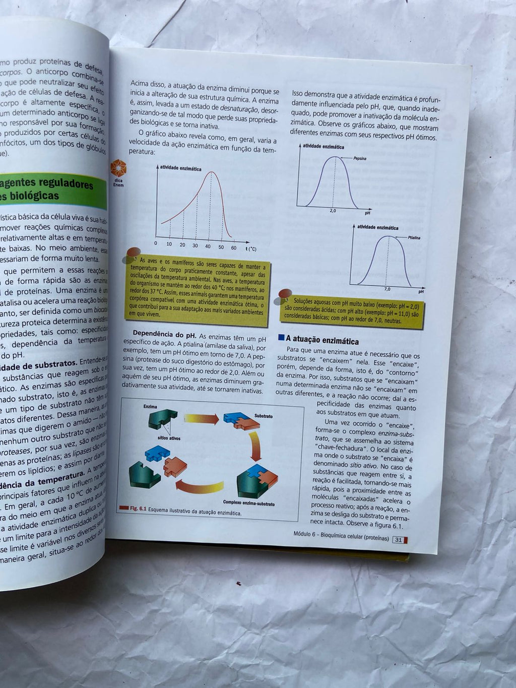 Livro Biologia Box 4 Vol Com Caderno De Revisão E Exercícios (Usado)
