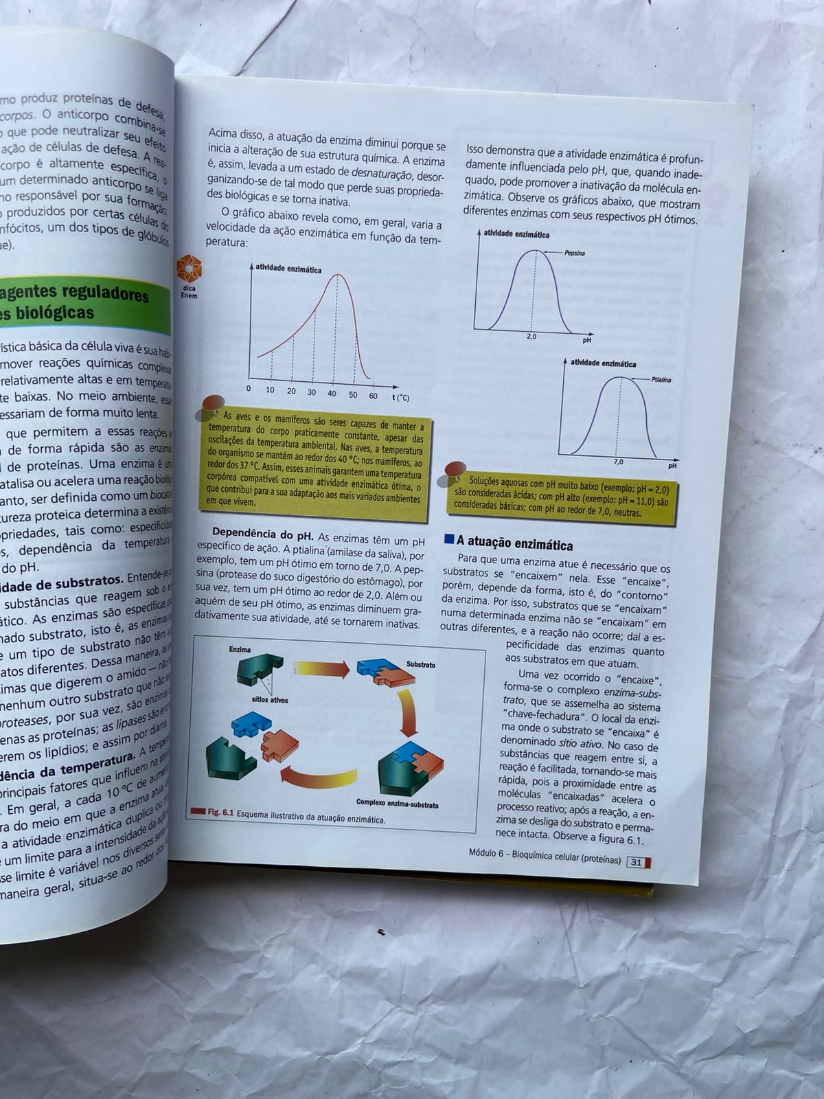 Livro Biologia Box 4 Vol Com Caderno De Revisão E Exercícios (Usado)