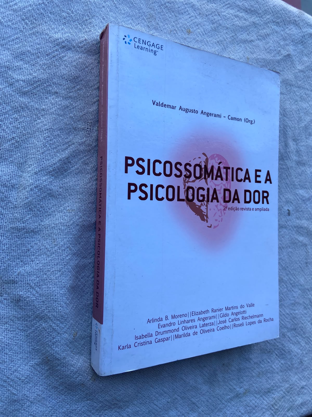 Psicossomática e a Psicologia da Dor