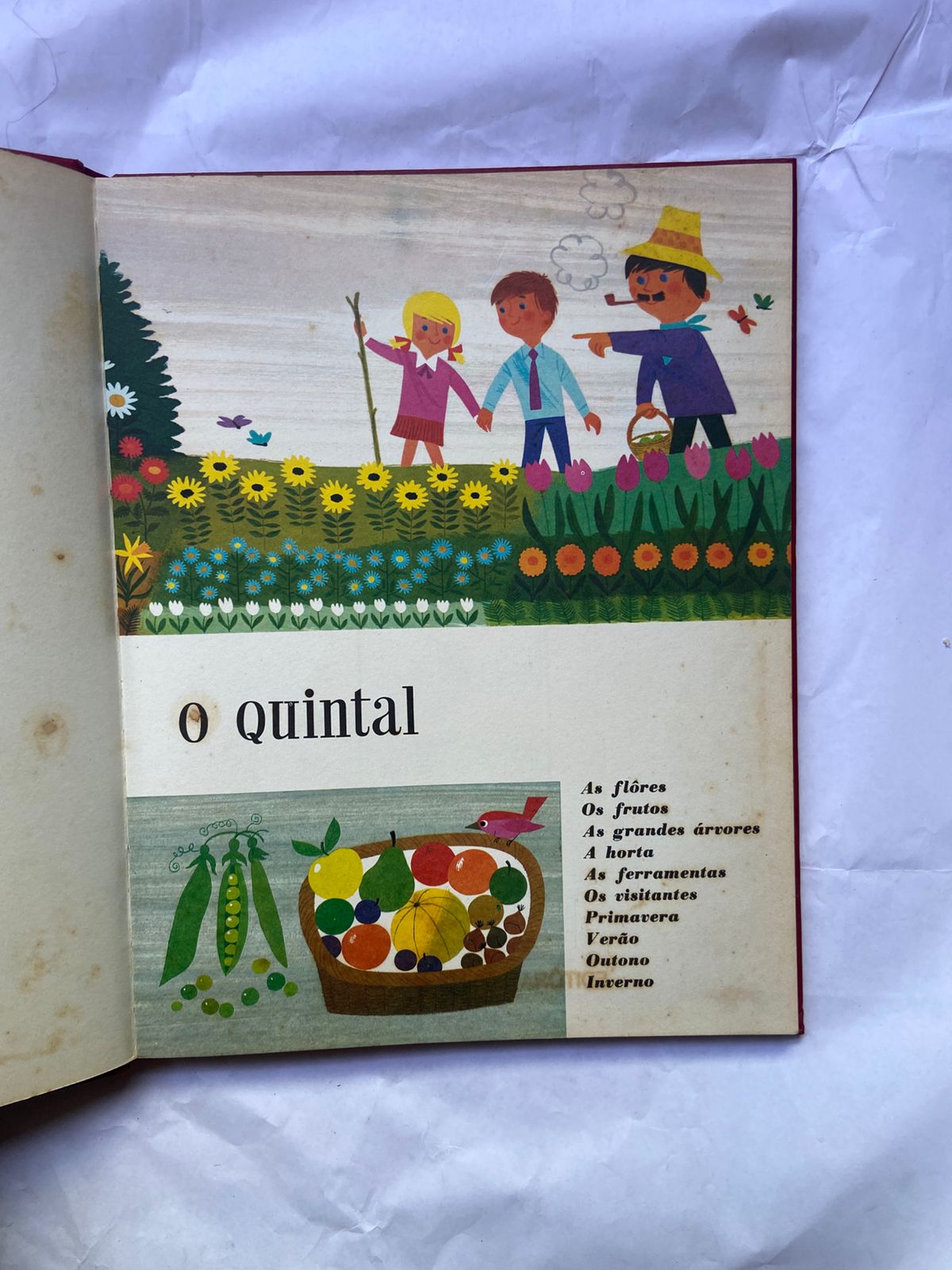 Livro Imagem Box 5 Volumes (Usado)
