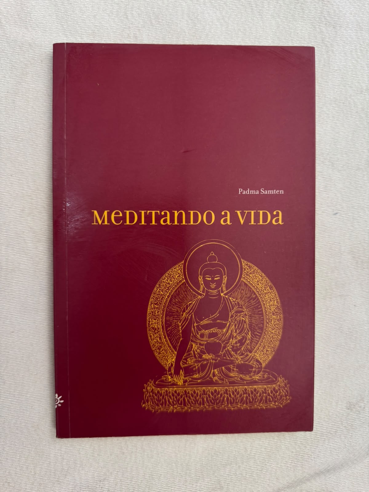 Meditando a Vida