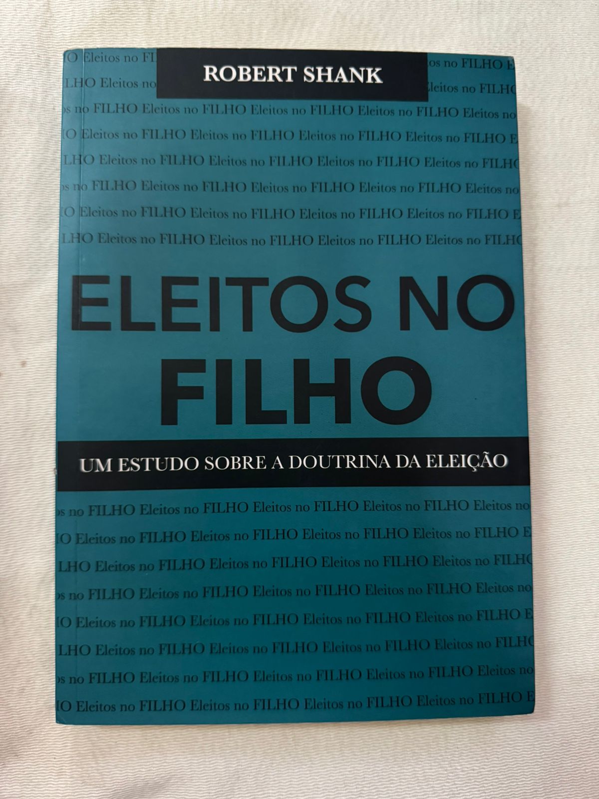 Eleitos no Filho um Estudo Sobre a Doutrina da Elição