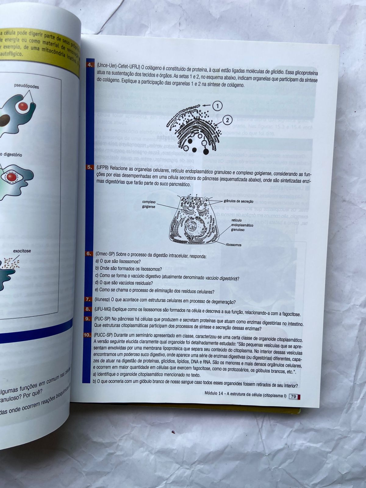 Livro Biologia Box 4 Vol Com Caderno De Revisão E Exercícios (Usado)
